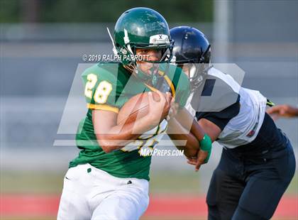 Thumbnail 1 in Klein Oak vs Klein Forest  photogallery.