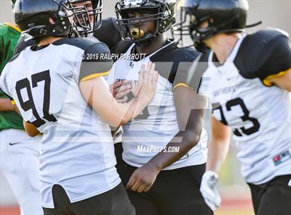 Thumbnail 2 in Klein Oak vs Klein Forest  photogallery.