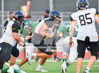 Thumbnail 2 in Klein Oak vs Klein Forest  photogallery.