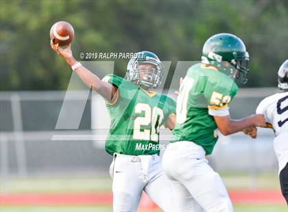 Thumbnail 2 in Klein Oak vs Klein Forest  photogallery.