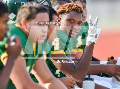 Thumbnail 2 in Klein Oak vs Klein Forest  photogallery.