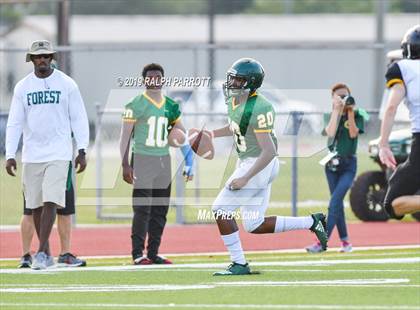 Thumbnail 2 in Klein Oak vs Klein Forest  photogallery.