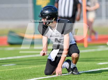 Thumbnail 3 in Klein Oak vs Klein Forest  photogallery.