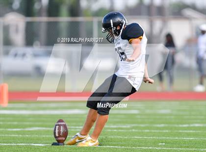 Thumbnail 1 in Klein Oak vs Klein Forest  photogallery.