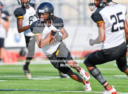 Thumbnail 1 in Klein Oak vs Klein Forest  photogallery.