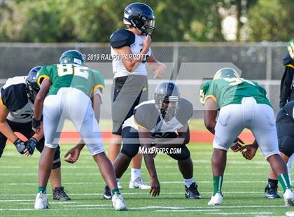 Thumbnail 3 in Klein Oak vs Klein Forest  photogallery.