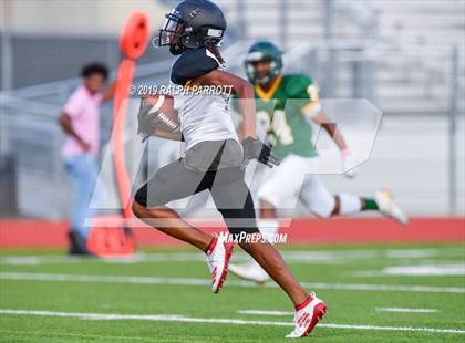 Thumbnail 2 in Klein Oak vs Klein Forest  photogallery.