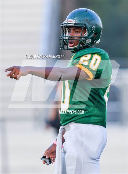 Thumbnail 1 in Klein Oak vs Klein Forest  photogallery.