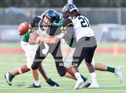 Thumbnail 3 in Klein Oak vs Klein Forest  photogallery.