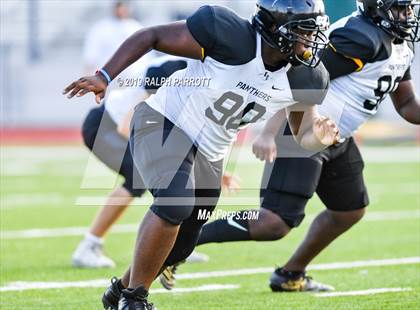 Thumbnail 1 in Klein Oak vs Klein Forest  photogallery.