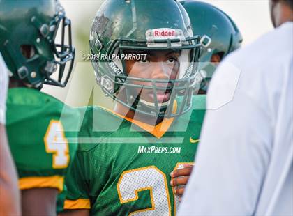 Thumbnail 2 in Klein Oak vs Klein Forest  photogallery.