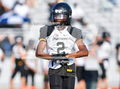 Thumbnail 2 in Klein Oak vs Klein Forest  photogallery.