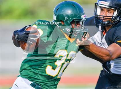 Thumbnail 1 in Klein Oak vs Klein Forest  photogallery.