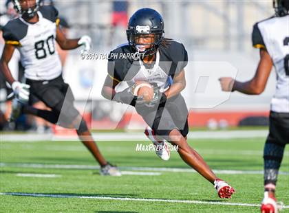 Thumbnail 2 in Klein Oak vs Klein Forest  photogallery.