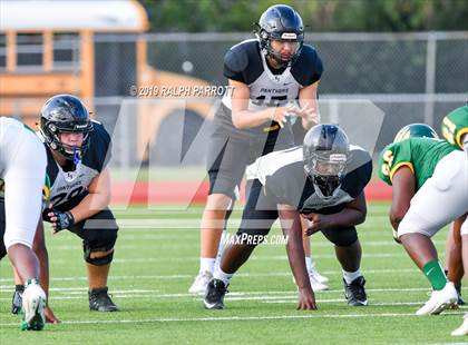 Thumbnail 2 in Klein Oak vs Klein Forest  photogallery.