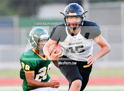 Thumbnail 2 in Klein Oak vs Klein Forest  photogallery.