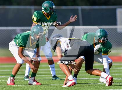 Thumbnail 3 in Klein Oak vs Klein Forest  photogallery.