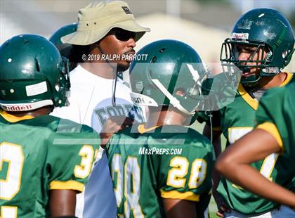 Thumbnail 1 in Klein Oak vs Klein Forest  photogallery.