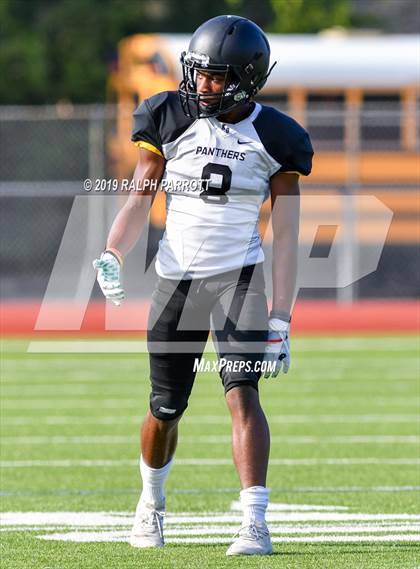 Thumbnail 1 in Klein Oak vs Klein Forest  photogallery.
