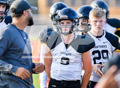 Thumbnail 2 in Klein Oak vs Klein Forest  photogallery.