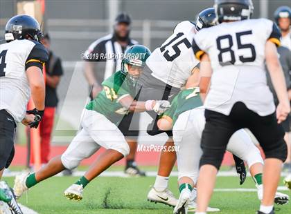 Thumbnail 3 in Klein Oak vs Klein Forest  photogallery.