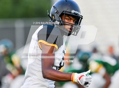 Thumbnail 2 in Klein Oak vs Klein Forest  photogallery.