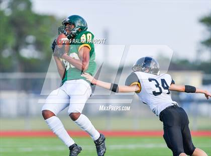 Thumbnail 3 in Klein Oak vs Klein Forest  photogallery.