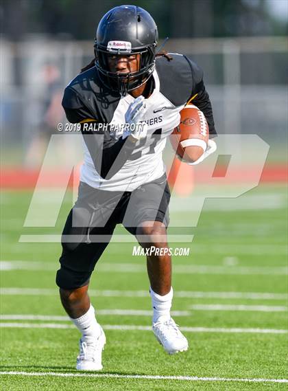 Thumbnail 2 in Klein Oak vs Klein Forest  photogallery.