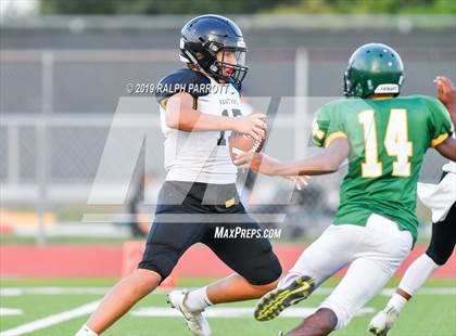Thumbnail 1 in Klein Oak vs Klein Forest  photogallery.