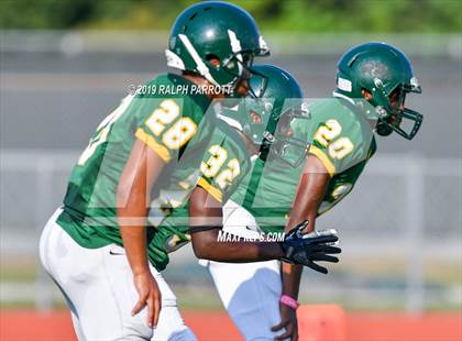 Thumbnail 2 in Klein Oak vs Klein Forest  photogallery.