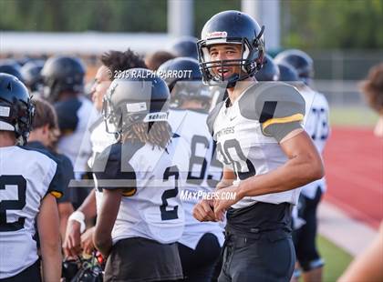 Thumbnail 1 in Klein Oak vs Klein Forest  photogallery.