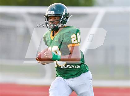 Thumbnail 1 in Klein Oak vs Klein Forest  photogallery.