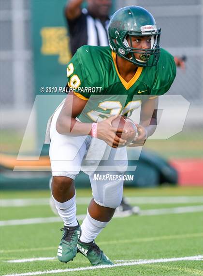 Thumbnail 2 in Klein Oak vs Klein Forest  photogallery.
