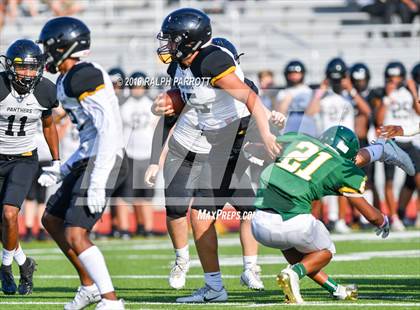 Thumbnail 3 in Klein Oak vs Klein Forest  photogallery.