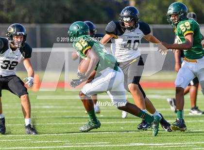 Thumbnail 3 in Klein Oak vs Klein Forest  photogallery.