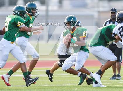 Thumbnail 1 in Klein Oak vs Klein Forest  photogallery.