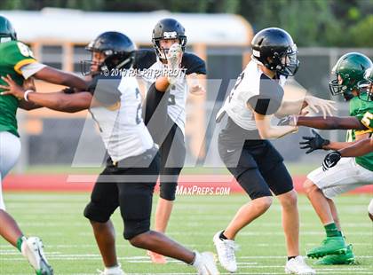 Thumbnail 3 in Klein Oak vs Klein Forest  photogallery.
