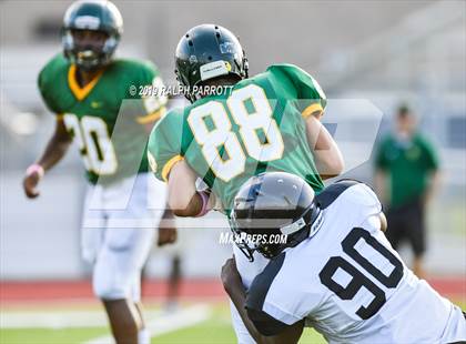 Thumbnail 3 in Klein Oak vs Klein Forest  photogallery.