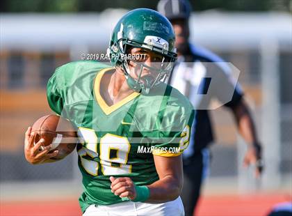 Thumbnail 3 in Klein Oak vs Klein Forest  photogallery.