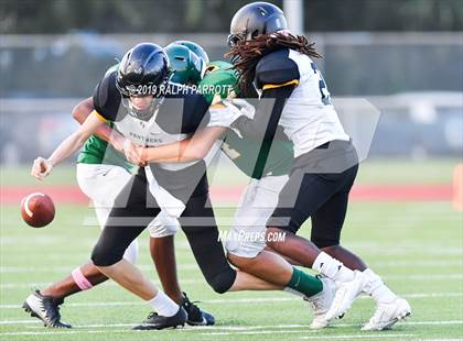 Thumbnail 1 in Klein Oak vs Klein Forest  photogallery.