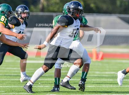 Thumbnail 2 in Klein Oak vs Klein Forest  photogallery.