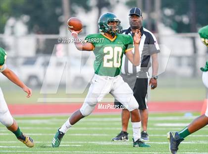 Thumbnail 1 in Klein Oak vs Klein Forest  photogallery.
