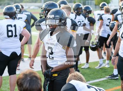 Thumbnail 1 in Klein Oak vs Klein Forest  photogallery.