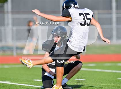 Thumbnail 3 in Klein Oak vs Klein Forest  photogallery.
