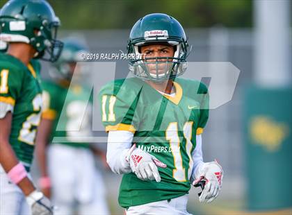 Thumbnail 1 in Klein Oak vs Klein Forest  photogallery.