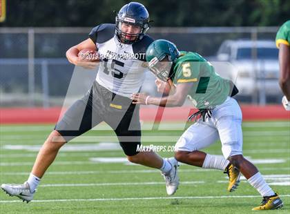 Thumbnail 1 in Klein Oak vs Klein Forest  photogallery.