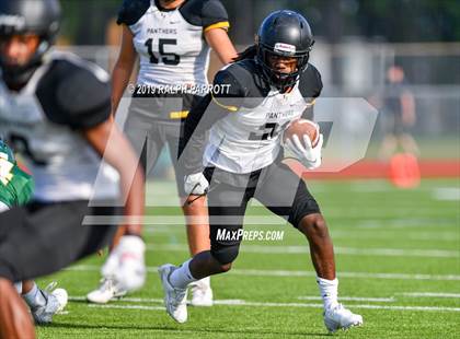 Thumbnail 2 in Klein Oak vs Klein Forest  photogallery.