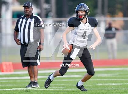 Thumbnail 3 in Klein Oak vs Klein Forest  photogallery.
