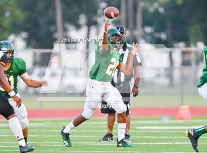 Thumbnail 1 in Klein Oak vs Klein Forest  photogallery.