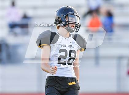 Thumbnail 1 in Klein Oak vs Klein Forest  photogallery.